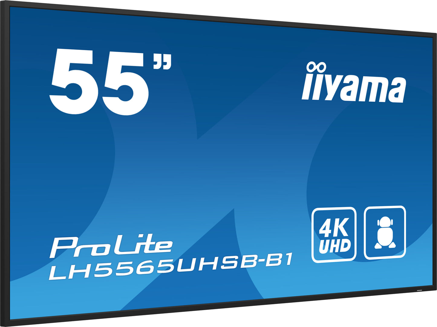 iiyama LH5565UHSB-B1