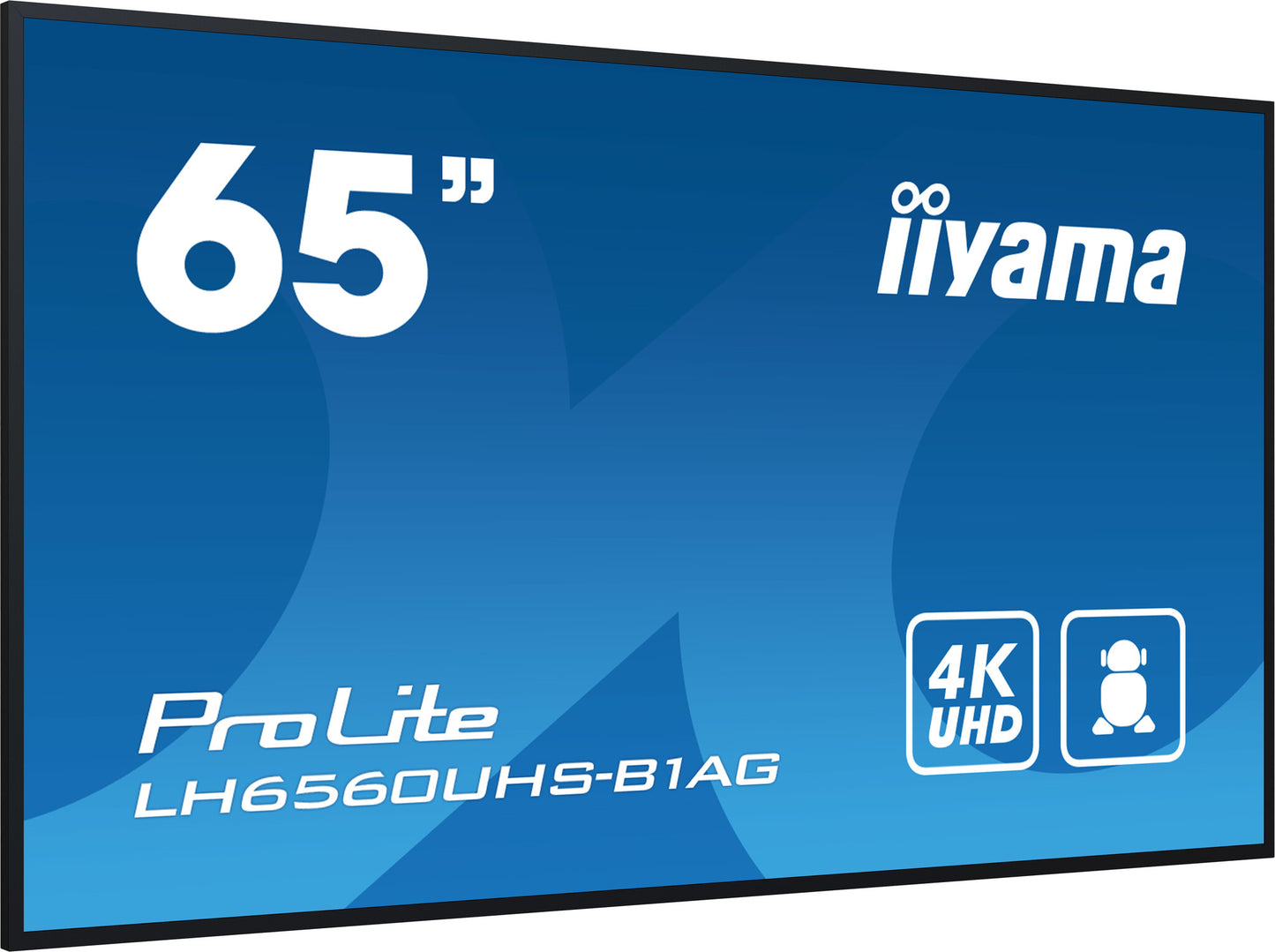 iiyama LH6560UHS-B1AG