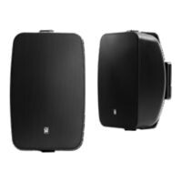 Origin Acoustics OS60DTW
