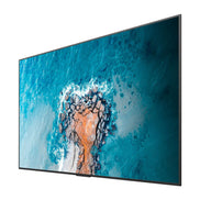 Hisense 100DM66E
