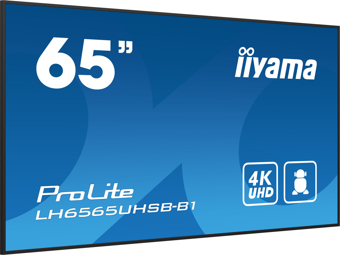 iiyama LH6565UHSB-B1