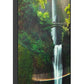 Hisense 55WH80F