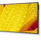 NEC MultiSync ME551 Digital signage flat panel 139.7 cm (55") IPS 400 cd/m² 4K Ultra HD Black 18/7