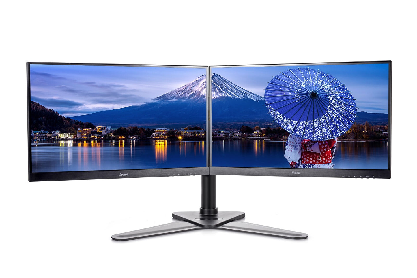 iiyama DS1002D-B1
