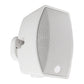 SoundTube Entertainment IPD-SM500I-II-WH