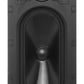 Origin Acoustics C65EX