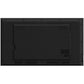 Hisense 43DM66GE