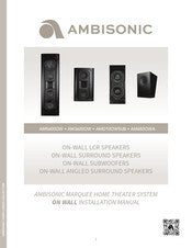 Origin Acoustics AmbiSonic Systems AM650OWA