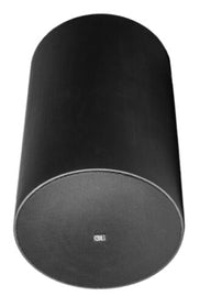 Origin Acoustics PP80