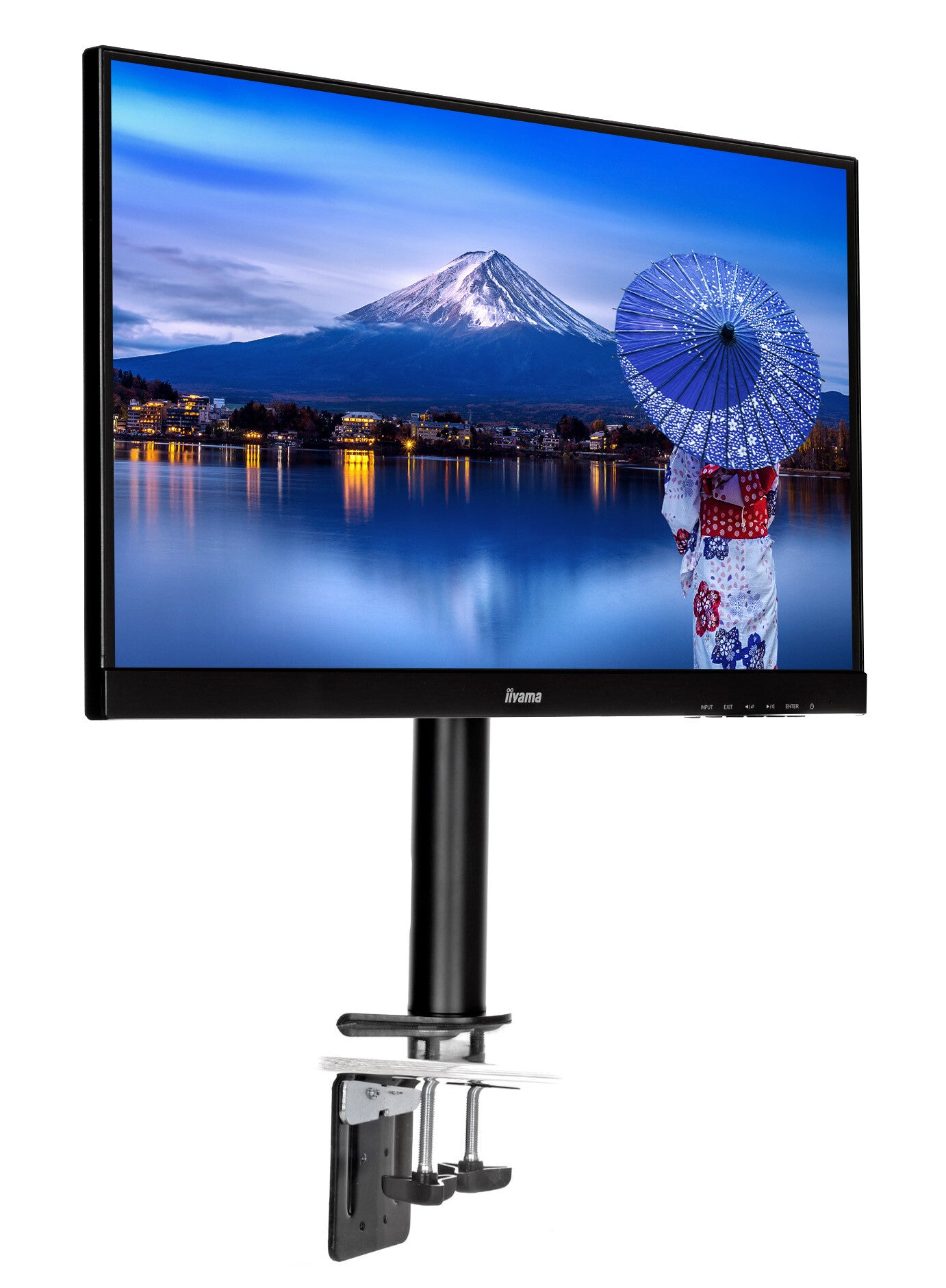 iiyama DS1001C-B1