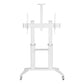 Techly ICA-TR49W multimedia cart/stand White Flat panel
