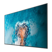 Hisense 100DM66GE