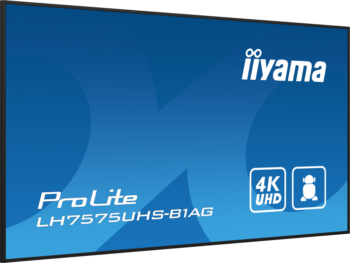 iiyama ProLite