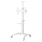 Techly ICA-TR48W multimedia cart/stand White Flat panel