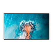 Hisense 43DM66D