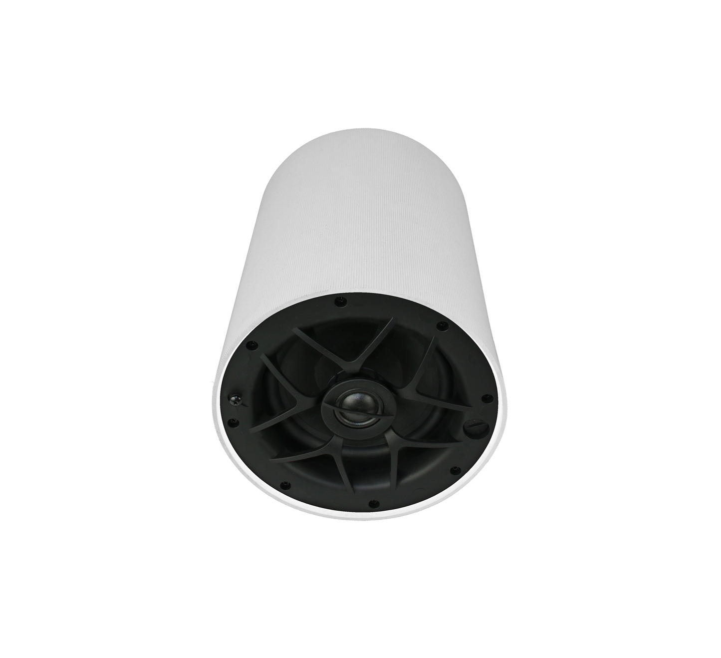 Origin Acoustics PP60W WHITE 2 Way 70/100v Line Pendant Speaker