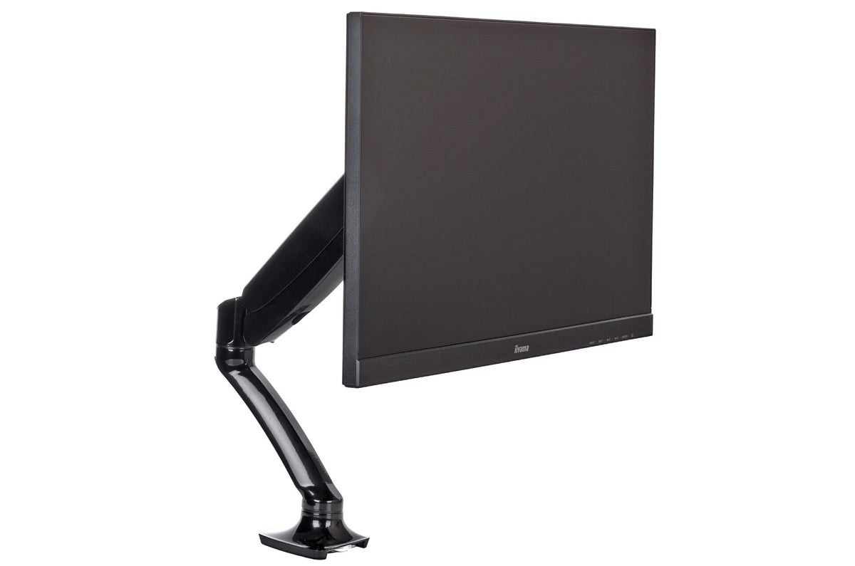 iiyama DS3001C-B1