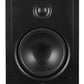 Origin Acoustics CIW61