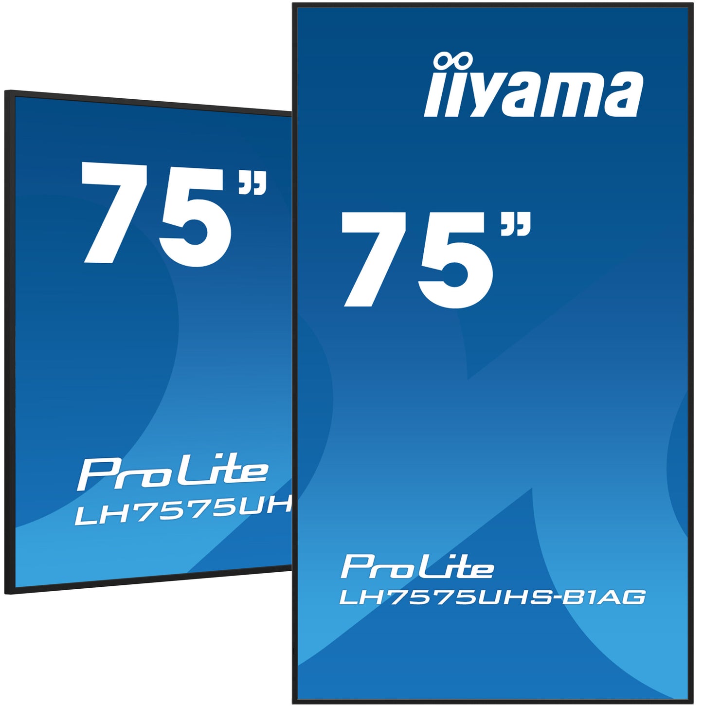 iiyama ProLite