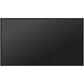 Hisense 43DM66GE