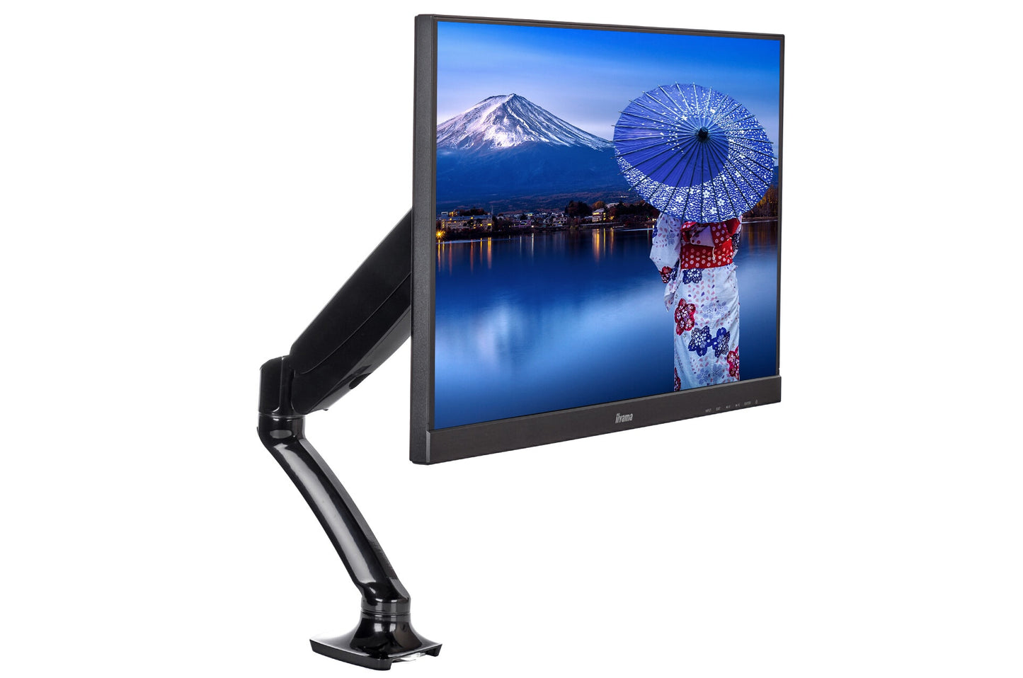 iiyama DS3001C-B1