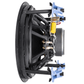 Origin Acoustics D101