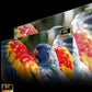 Hisense C3