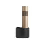 Origin Acoustics Bang & Olufsen | Origin Acoustics Beosound Bollard