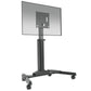 Chief Large Capacity Electric Height Adjustable Flat Panel Cart, European Union