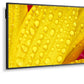 NEC MultiSync ME551 Digital signage flat panel 139.7 cm (55") IPS 400 cd/m² 4K Ultra HD Black 18/7