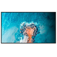 Hisense 86DM66D