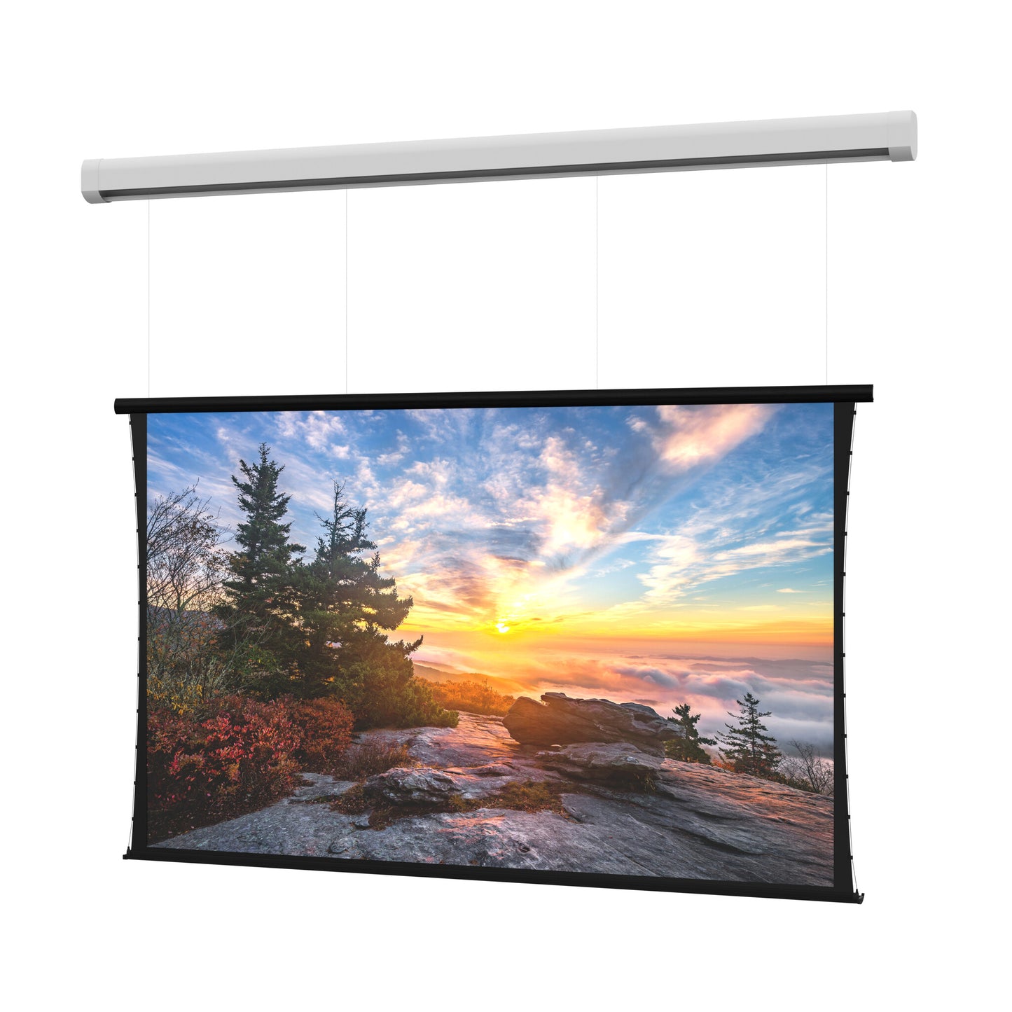 Da-Lite Myriad Reveal, 105" x 168" with HD Progressive 1.0 - DL100174EL