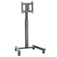 Chief Large Flat Panel Mobile AV Cart - PFCUB