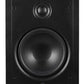 Origin Acoustics CIW61