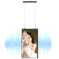 55" Double-sided Hanging Display