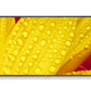 NEC MultiSync ME551 Digital signage flat panel 139.7 cm (55") IPS 400 cd/m² 4K Ultra HD Black 18/7