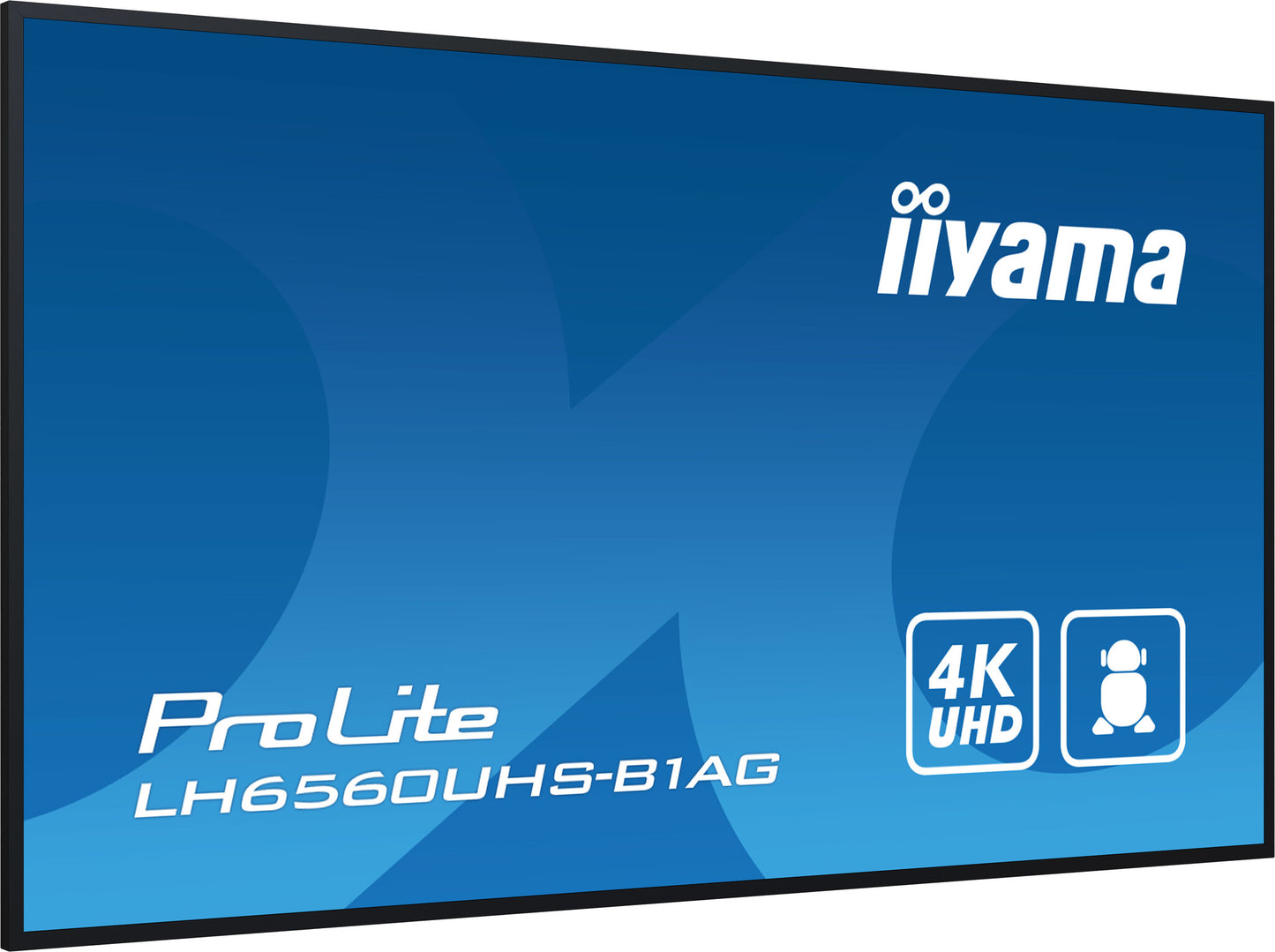 iiyama LH6560UHS-B1AG