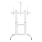 ICA-TR49W Trolley, 70-120", White Aluminum