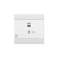 NWP400/W Network input panel - USB Type-C + BT (4 CH), White