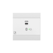 NWP400/W Network input panel - USB Type-C + BT (4 CH), White
