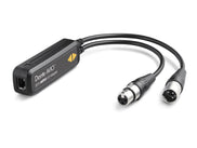 Audinate Dante AVIO AES3 IO Adapter 2x2