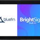 Bluefin 10.1" BrightSign Touch PoE