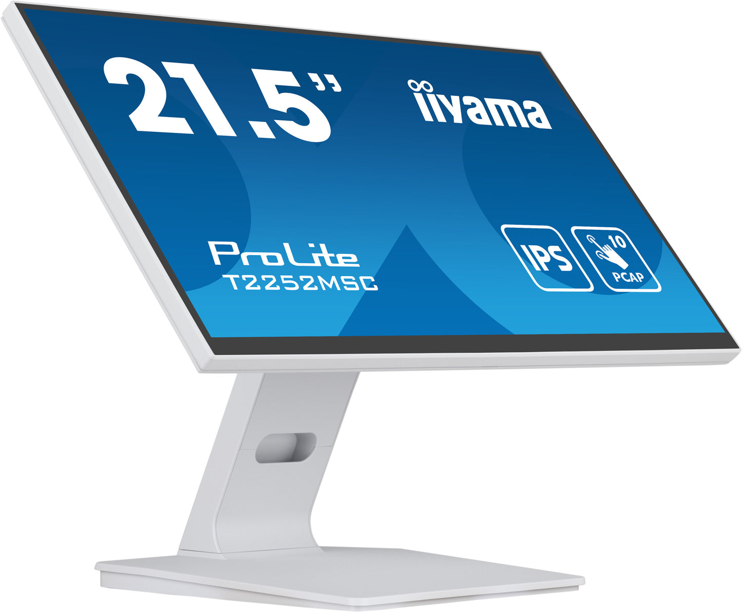 PROLITE T2252MSC-W2
