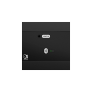 NWP300/B Network input panel - BT + 3.5 mm jack (4 CH), Black
